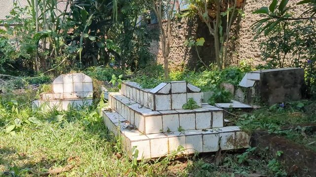 Small tiled graves in an overgrown cemetery surrounded by tropical vegetation during daylight