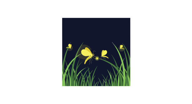 Glowing fireflies flying in tall green grass under a dark night sky illustration