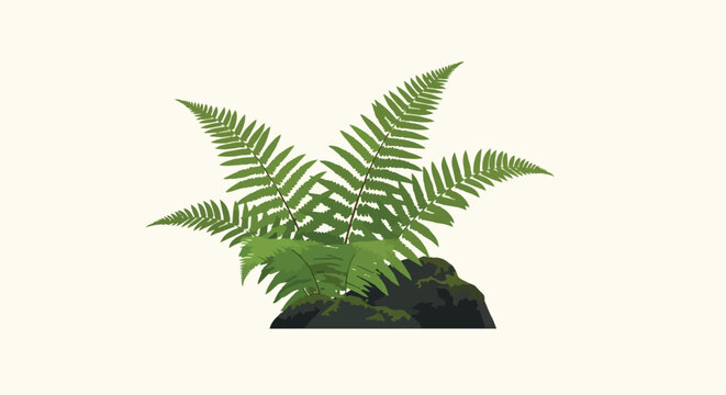 Green Fern Plant and Mossy Rock Botanical Illustration Isolated on Off-White Background
