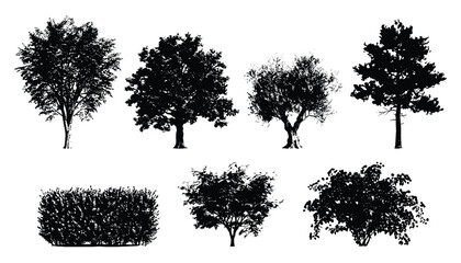 Set of various black tree and bush silhouettes on transparent background vector art. © SJB studio