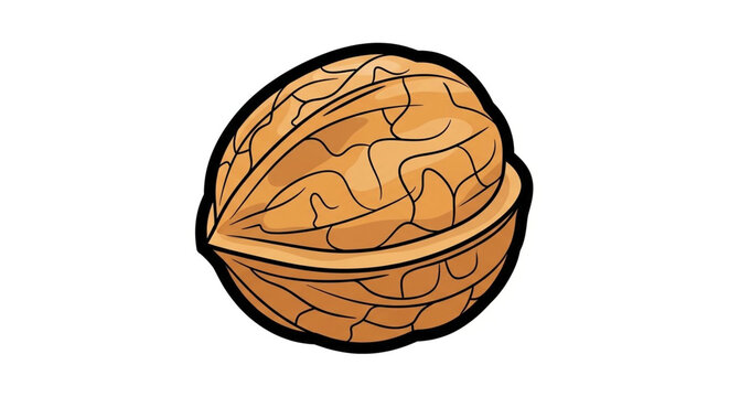 Single walnut nut icon vector illustration isolated on white