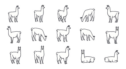 Obraz premium Cute Llama Illustrations Collection, Various Poses, Outline Style