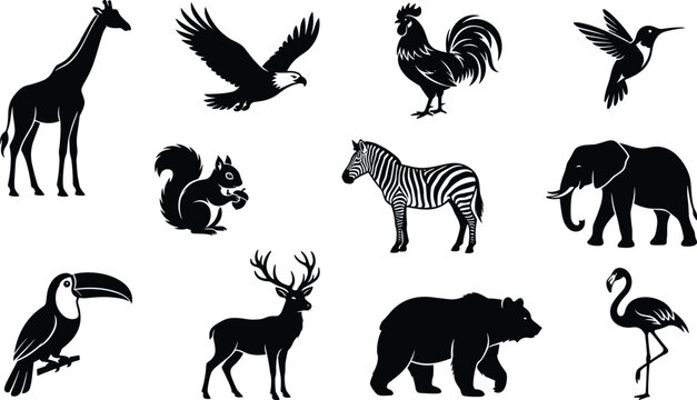 Black animal silhouettes set with wild safari elephant giraffe eagle bear and birds vector collection isolated on white background for graphic design