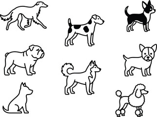 Vector line art icons set of various purebred dogs isolated on white background including husky bulldog poodle chihuahua and terrier breeds for design © PROTABPROSAD