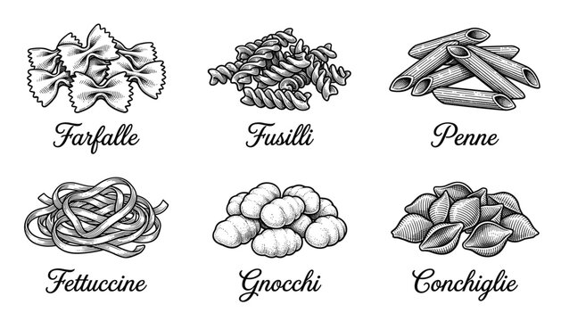 Set of assorted pasta types including farfalle fusilli penne fettuccine gnocchi and conchiglie depicted as detailed hand drawn transparent vector.