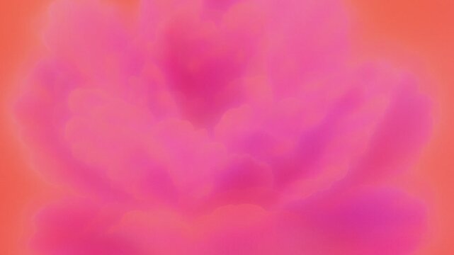 pink rose petals background