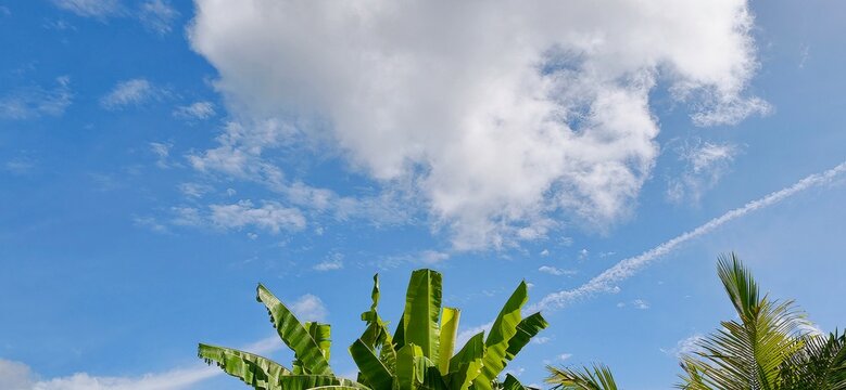 Beautiful blue sky with fluffy white clouds and tropical banana leaves under bright sunlight.