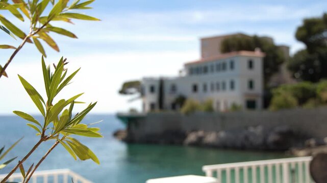Oleander Leaves in Foreground with Coastal Mediterranean Villa in Background