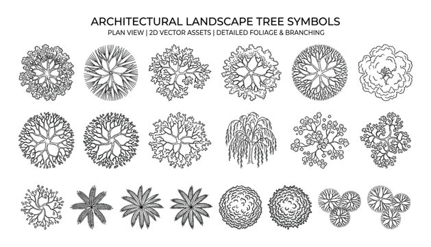 Architectural landscape tree symbols plan view 2d vector assets detailed foliage branching.