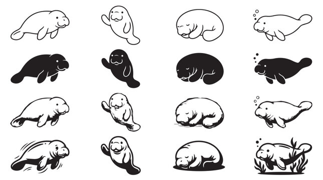 Doodle style illustrations of manatees in various poses and swimming directions with swimming