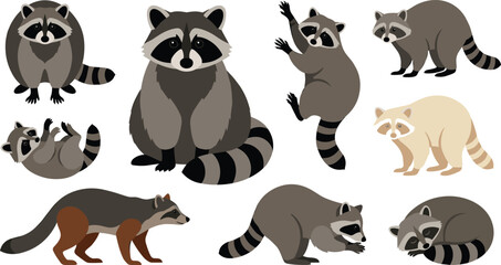 Fototapeta premium Raccoon Species Vector Illustration Featuring Gray, Brown, Cream Variations in Sitting, Standing, Walking, and Reaching Poses