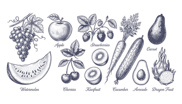 Vintage engraving style vector collection of fruits and vegetables on transparent background, great for healthy eating and organic food designs.