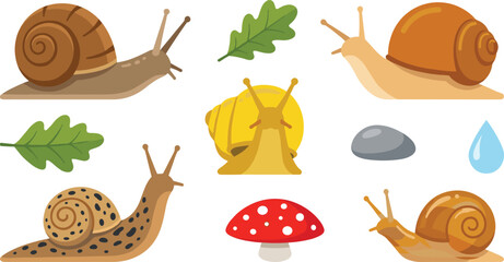 Snail Ecosystem Vector Illustration Featuring Colorful Shells, Leaves, Stone, Mushroom, and Water Droplet Elements © Abdur