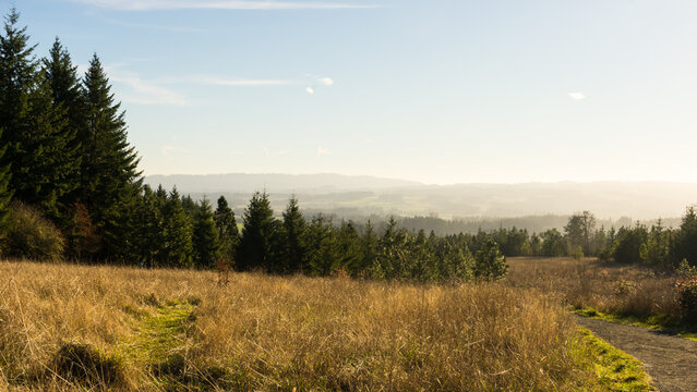 Cooper Mountain Nature Park,  Beaverton, Oregon