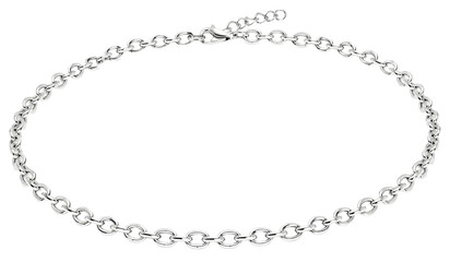 Fototapeta premium Silver Chain Necklace Fashion Jewelry Accessory