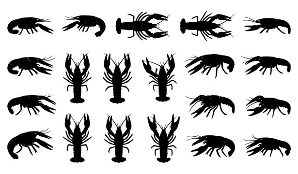 Freshwater Crawfish Silhouette Set with Detailed Crustacean Vector Shapes