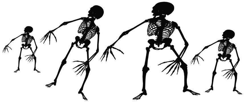 Vintage skeleton silhouettes in creepy dancing poses, black human bone figures on white background, spooky halloween anatomy graphics