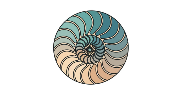 Nautilus Shell Spiral Fibonacci Sequence Abstract Geometric Pattern