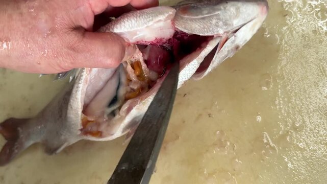 Chef filleting a fresh red sea bream with a knife, traditional Japanese fish preparation at an izakaya