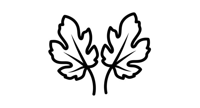 Two stylized fig leaves, outline illustration, simple and elegant design