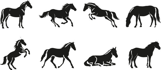 Fototapeta premium Black horse silhouettes set featuring various poses including running jumping rearing grazing trotting and standing on white background