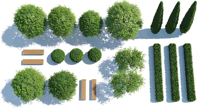 Top view landscape design elements with trees, hedges, and wooden benches for architectural site planning vector illustration
