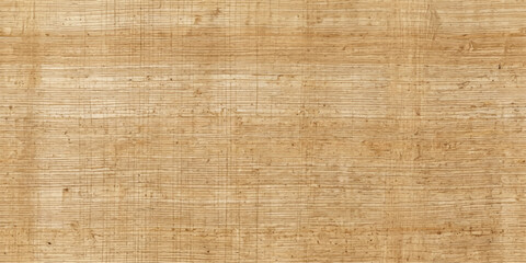 Obraz premium Ancient Papyrus Texture: A close-up view of a textured papyrus surface, showcasing the horizontal fibers and natural, aged appearance of this ancient writing material.