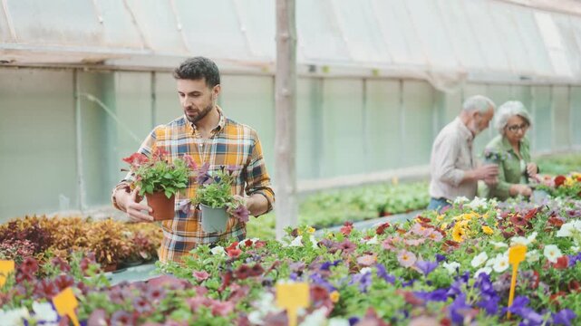 Mle shopper selects fresh surfinia flowers at a flower supermarket. High quality 4k footage