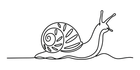 Continuous single line drawing of a cute garden snail © Alzin