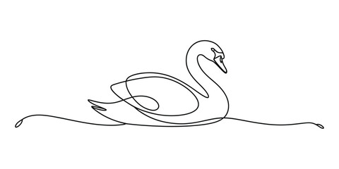 Minimalist continuous single line drawing of a swimming swan © Alzin