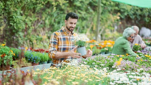 Adult man choose dimorfoteca of different colors in a garden hypermarket. High quality 4k footage