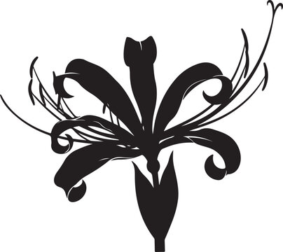Black nerine flower isolated on white background minimalist line art illustration,Generative Ai