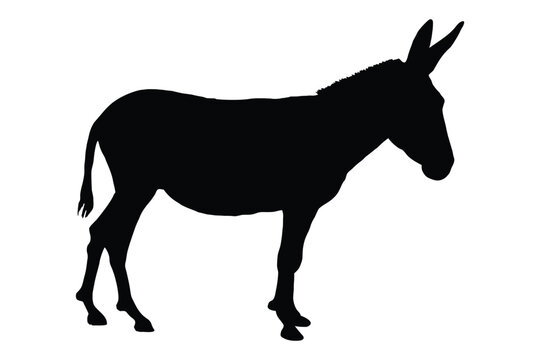 Donkey silhouette vector, Farm animal donkey black silhouette vector illustration