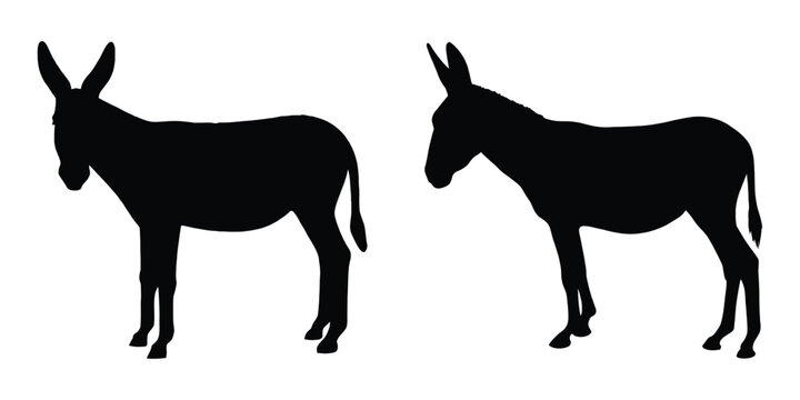 Donkey silhouette vector, Farm animal donkey black silhouette vector illustration