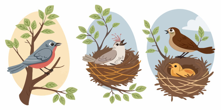 Set of cute birds with nests and eggs in trees wildlife hatching chirping illustration springtime songbird eggshell perching seasonal colorful nestling watching environment branches