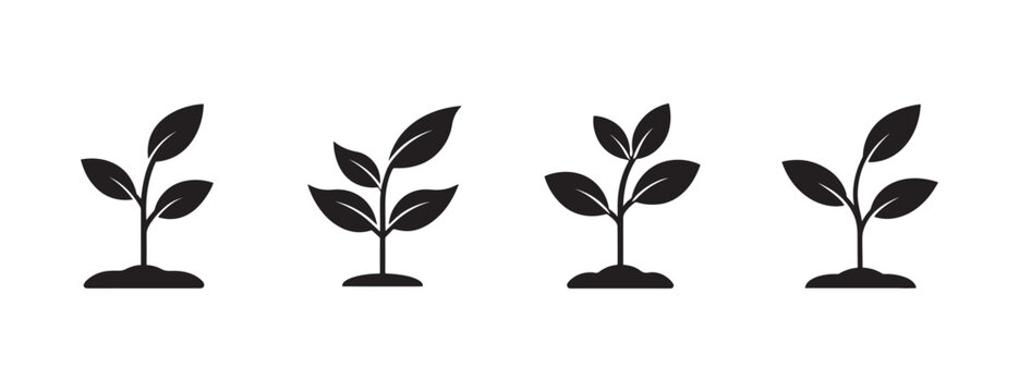 young plants with leaves growing out of ground on white background  plant growth icons