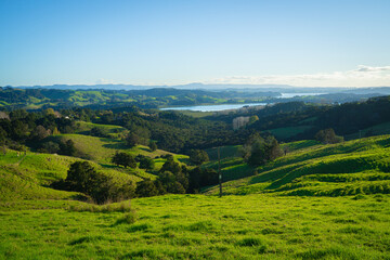Green hillside pastures and bays, New Zealand © zhang