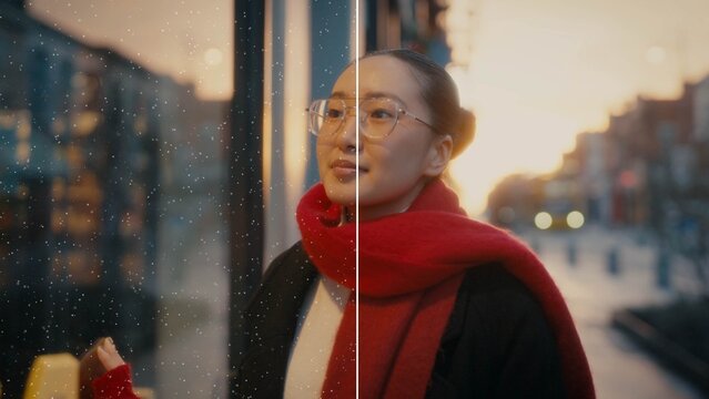 Dust Particle Overlay