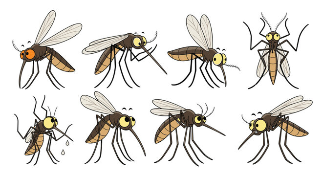 Mosquito insect character collection showing various poses of the annoying flying bug for health awareness and pest control education.