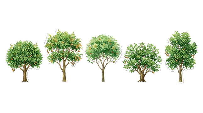 Collection of five diverse deciduous trees illustrating various growth stages and leaf arrangements in a natural setting