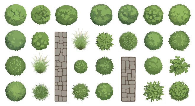 Top view landscape bushes and stone path vector set, green garden shrubs and grass plants for site planning, architectural garden elements