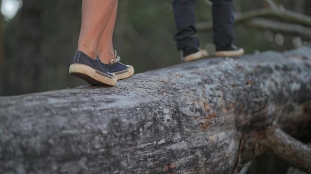 Person and child hiking forest trail. Shoe steps forward on fallen log. Balance training on hike trail. Forest offers peaceful walk. Footwork on log improves child sense of walk and balance hike.