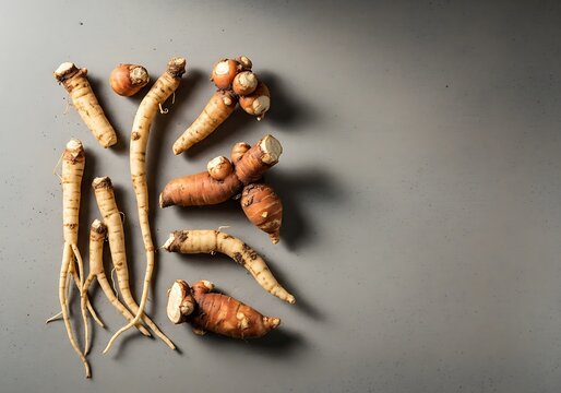 A top down view of fresh harvested raw butea superba tuber roots arranged on a neutral grey stone surface with copy space for herbal medicine concepts