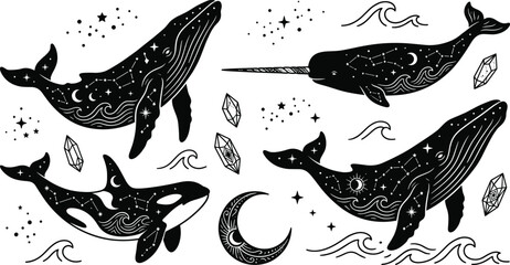 Celestial Whale and Orca Collection with Moon, Stars, Crystals, and Ocean Constellation Art Mystical Marine Vector Set © Priyanka