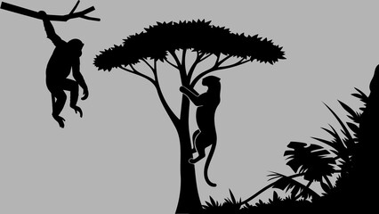 Jungle wildlife silhouette with leopard climbing tree and hanging monkey © Fitri Xcv