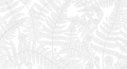 Obraz premium Delicate fern pattern elegant botanical design on white background