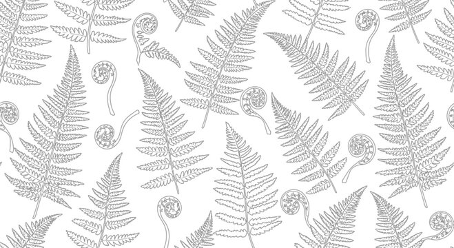 Detailed fern leaf pattern design on white background botanical illustration