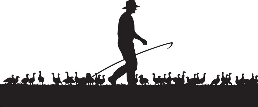 Man walking with a herd of ducks and chickens silhouette