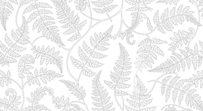 Elegant fern pattern design with detailed botanical elements on white background