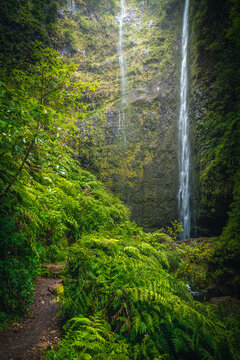 Hiking trail and waterfall near Caldeirao Verde levada trail, Madeira